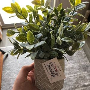 Small Plant decor elROSE with grey base